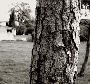 Volonne, 2005